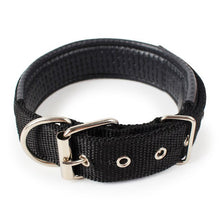 Load image into Gallery viewer, Dog collar nylon light collar soft leather lined dog foam collar simple refreshing 4 color 5 specifications pet supplies

