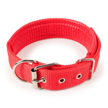 Load image into Gallery viewer, Dog collar nylon light collar soft leather lined dog foam collar simple refreshing 4 color 5 specifications pet supplies
