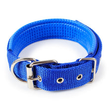 Load image into Gallery viewer, Dog collar nylon light collar soft leather lined dog foam collar simple refreshing 4 color 5 specifications pet supplies
